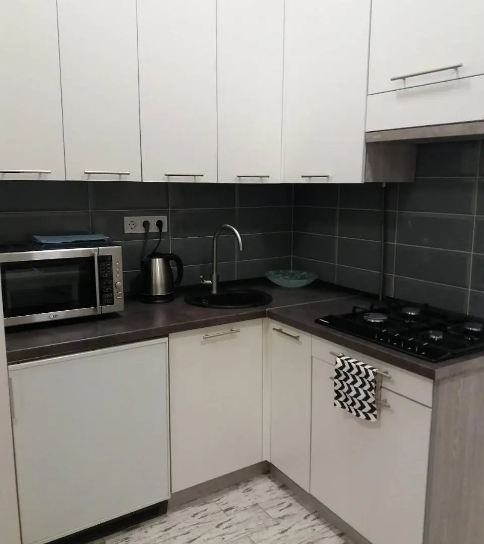 Skelnaia Apartment Lvov